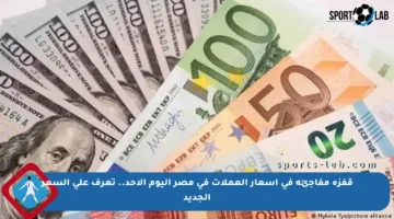 قفزة مفاجئة في أسعار العملات في مصر اليوم الأحد.. تعرف على السعر الجديد